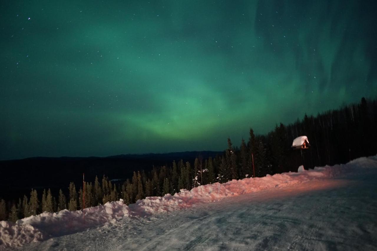 Aurora Villa Fairbanks Eksteriør billede